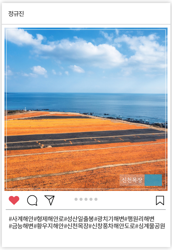 정규진_008.png
