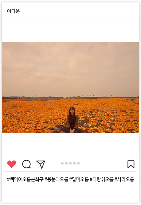 최우수상 08